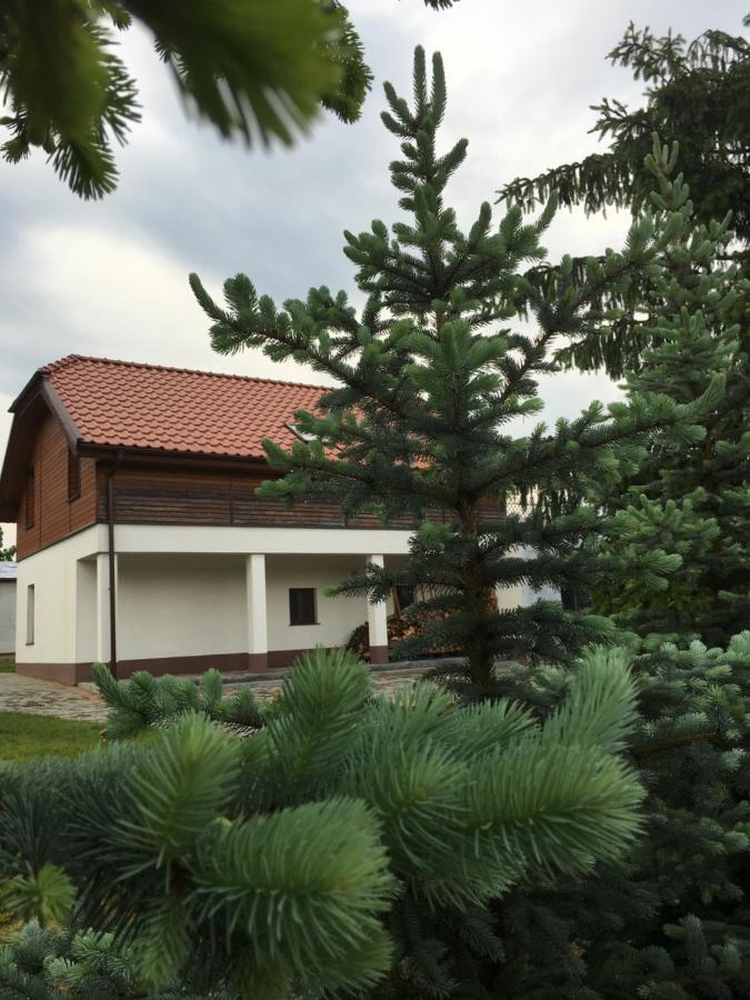 Pokoje Kasztanowa Wilkasy Exterior foto